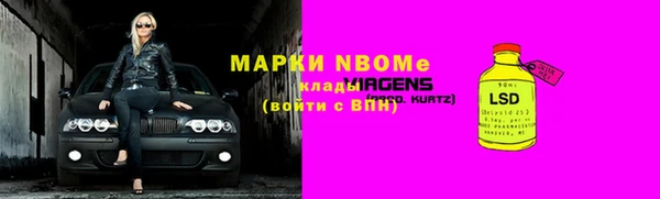 стафф Зеленокумск