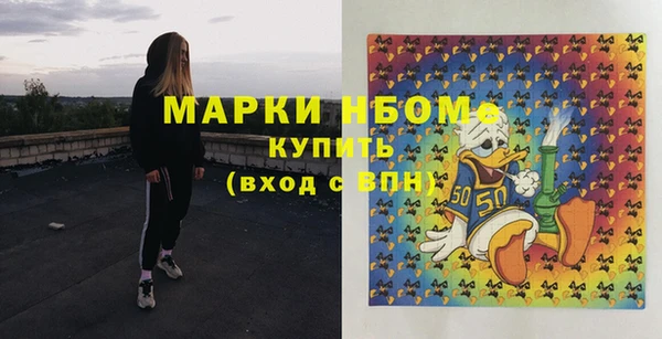 стафф Зеленокумск