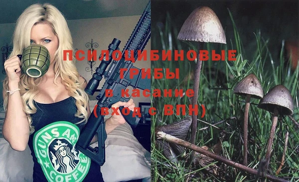 стафф Зеленодольск