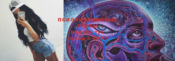 скорость Зерноград