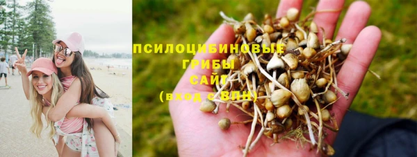 стафф Зеленокумск