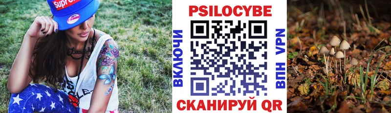 Купить  Мелеуз  Галлюциногенные грибы ЛСД 